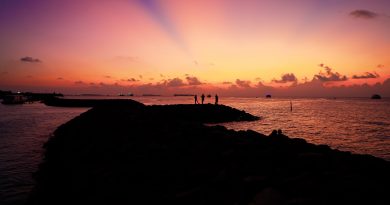 Beach Sunset Silhouettes Island  - glynhupalo / Pixabay