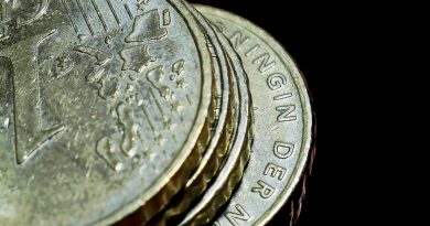 Euro Coins Coins Currency Money  - moritz320 / Pixabay