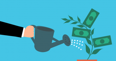 Money Cash Tree Watering Hand  - mohamed_hassan / Pixabay