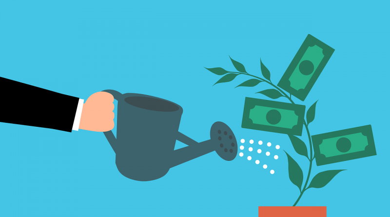 Money Cash Tree Watering Hand  - mohamed_hassan / Pixabay