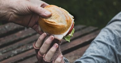 Sandwich Bread Poverty Homeless  - Myriams-Fotos / Pixabay