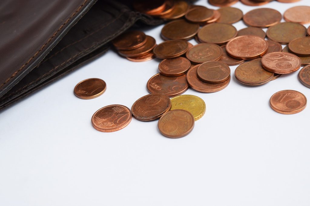 Wallet Coins Euro Money Exchange - Mimzy / Pixabay